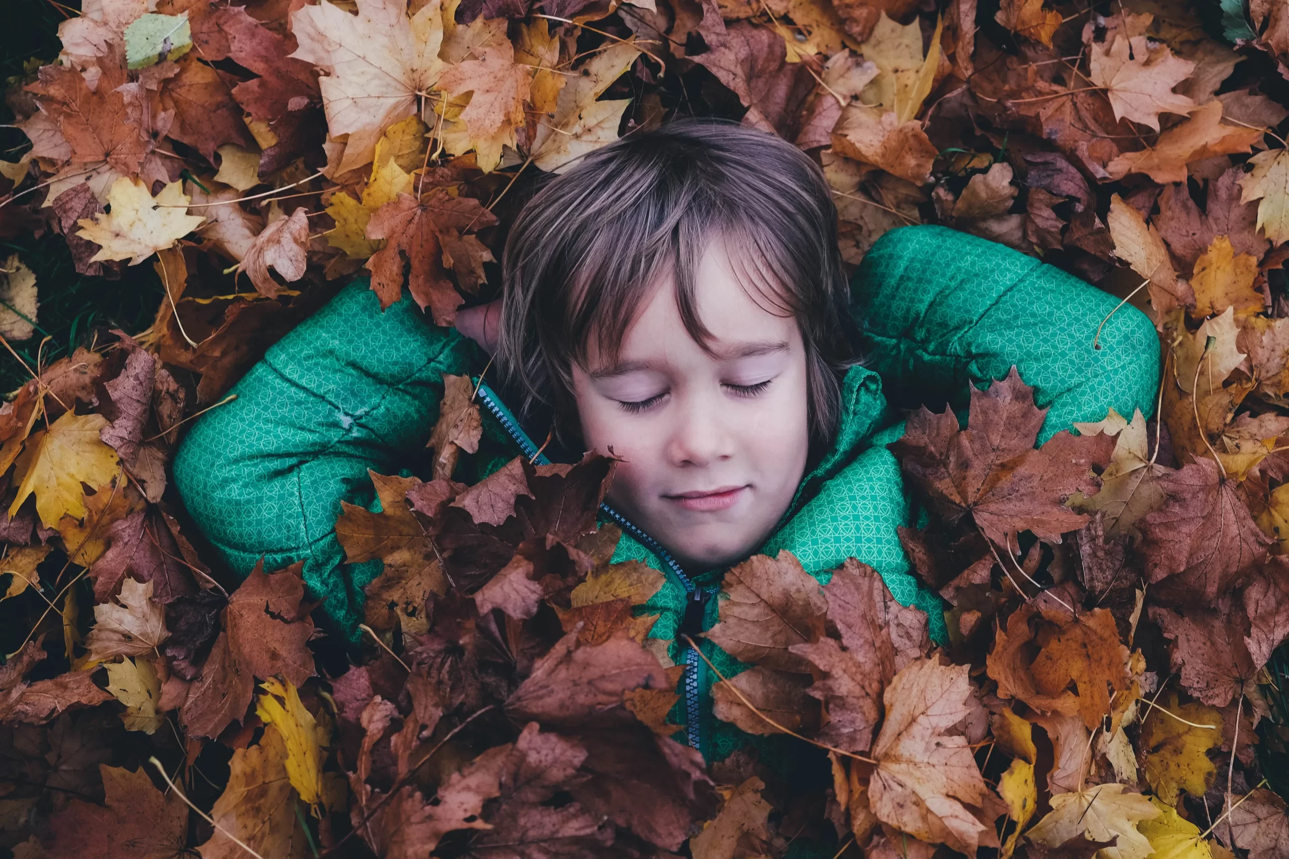 mindfulness, selfcompassion, διαλογισμός, ηρεμία
